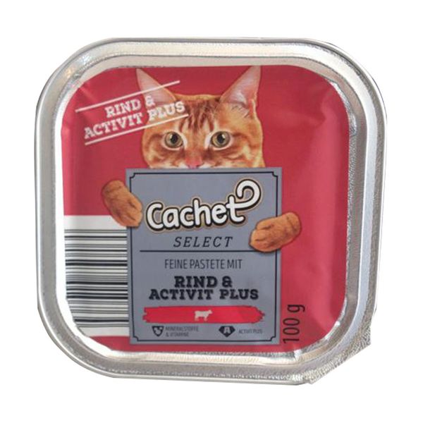 غذای گربه کچت مدل rind activit plus وزن 100 گرم