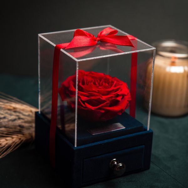 جعبه جواهرات و کارت هدیه رز جاودان مدل گل ماندگار دکوفیوره 