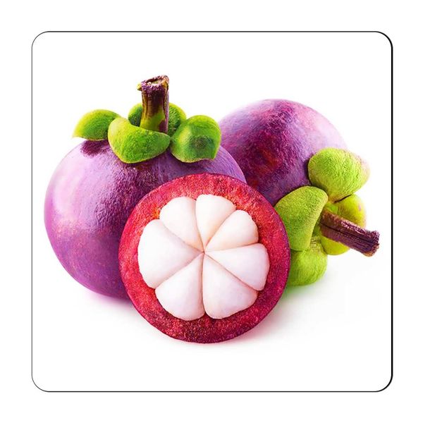 مگنت گالری باجو طرح میوه کد fruit 106