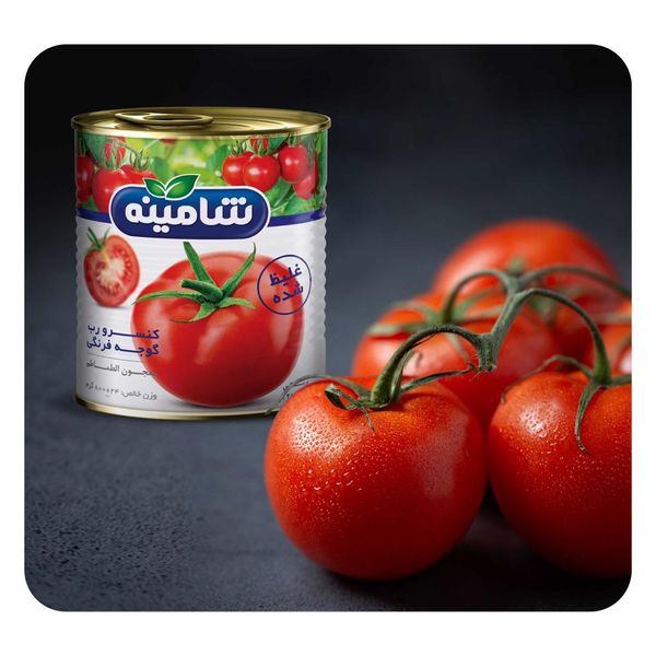 رب گوجه فرنگی غليظ شده شامينه - ۸۰۰ گرم بسته ١٢ عددی
