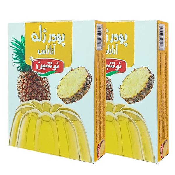 پودر ژله آناناس نوشین - 100 گرم مجموعه 2 عددی