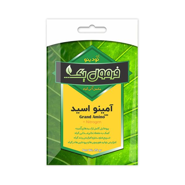 آمینو اسید فرمول یک مدل Grand amino 500+nitrogen وزن 25 گرم