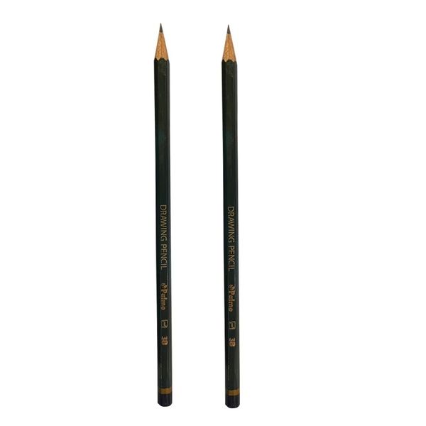 مداد طراحی پالمو مدل 3B بسته 2 عددی