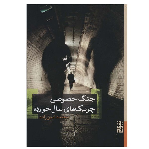 کتاب جنگ خصوصی چریک های سال خورده اثر سعیده امین زاده نشر برج