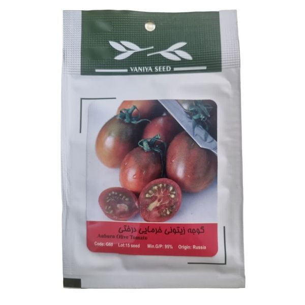 بذر گوجه زیتونی خرمایی درختی وانیا سید مدل BA1579
