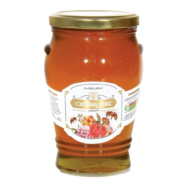 عسل خوانسار خمره‌ای سلامت - 800 گرم