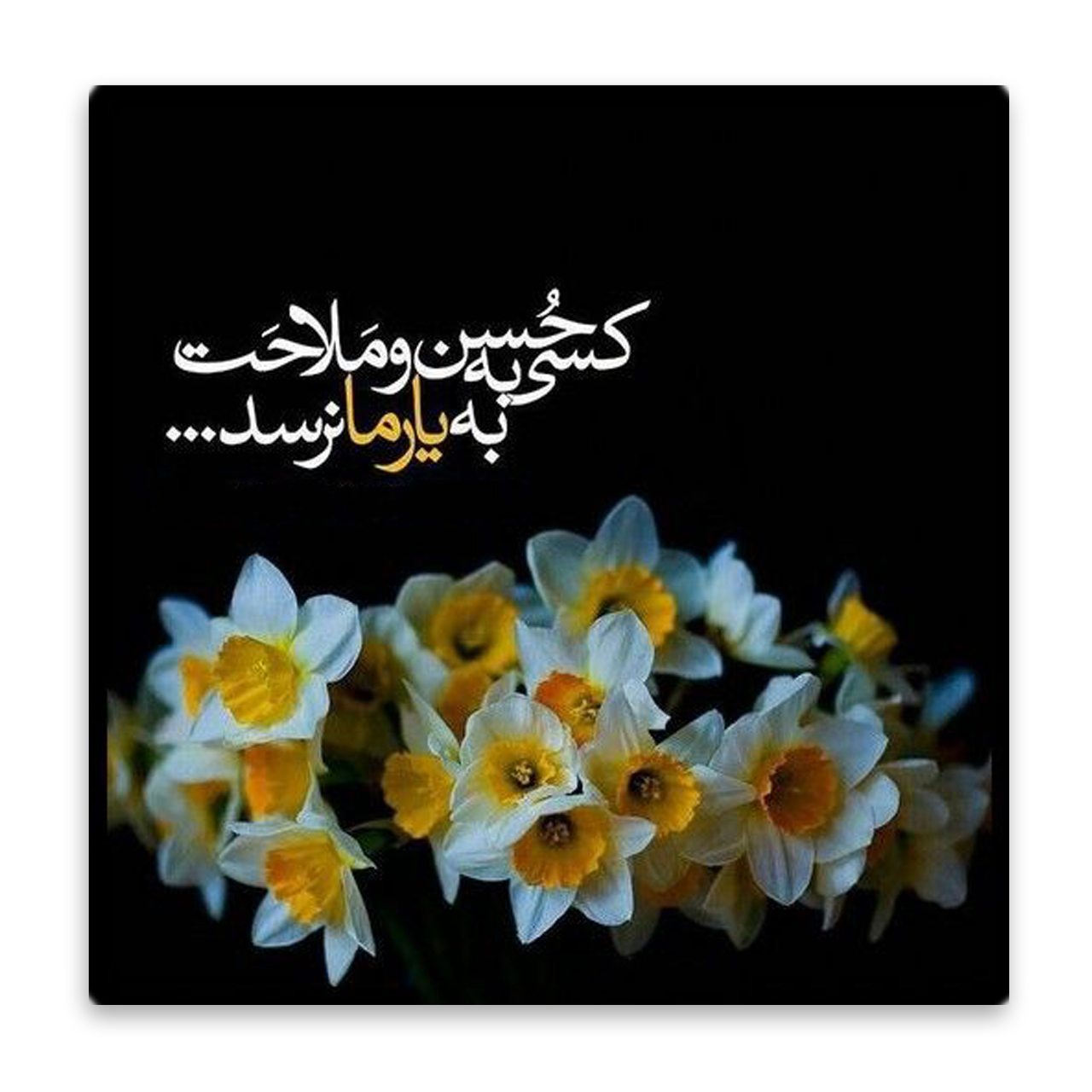 کاشی عصر بوژان مدل صاحب الزمان کد B585