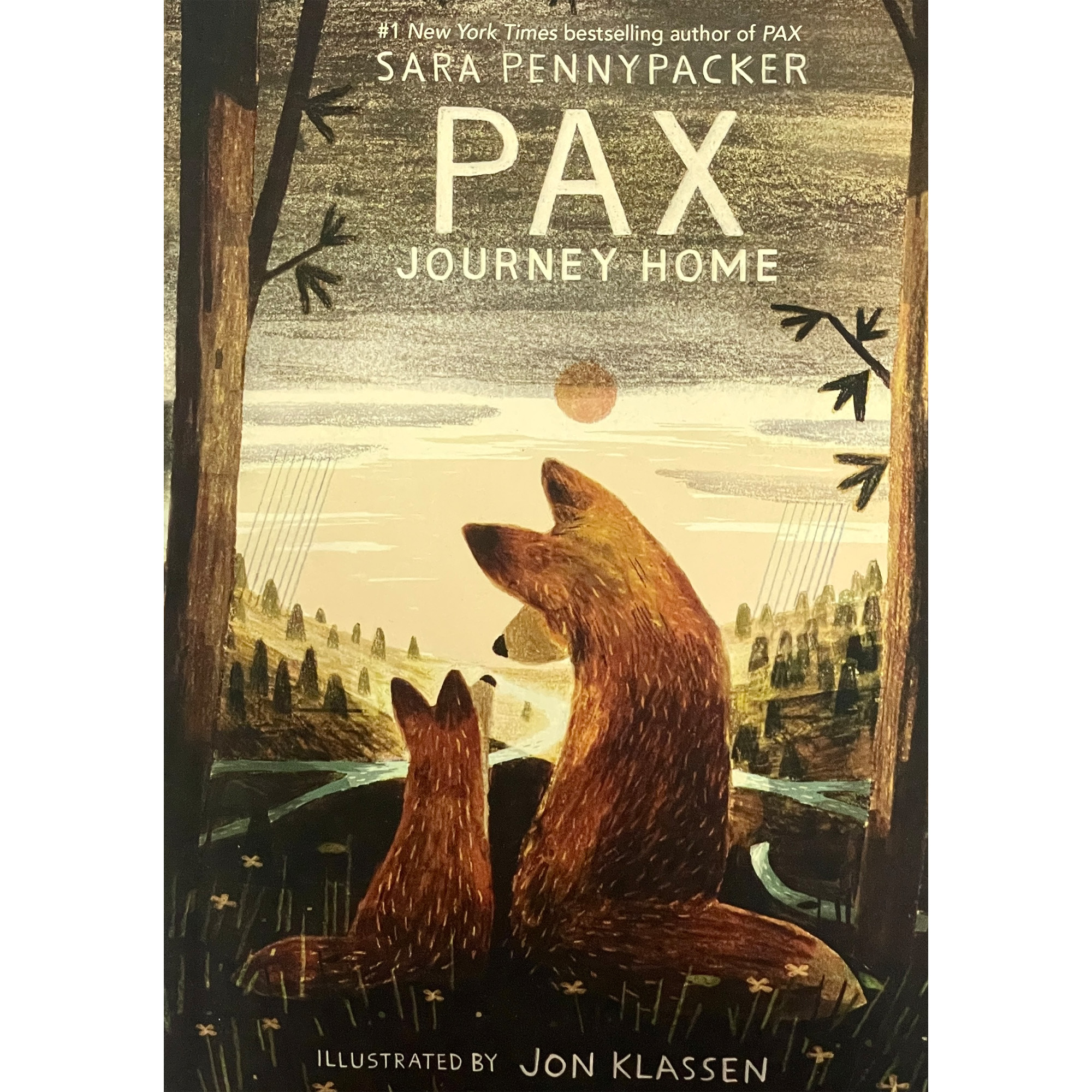 کتاب pax Journey Home اثر Sara Pennypacker انتشارات معیار علم
