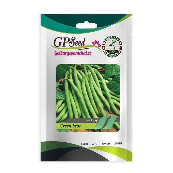 بذر لوبیا سبز گلبرگ پامچال کد GPF-132
