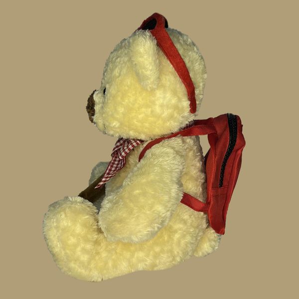 عروسک طرح خرس تدی مدل Backpack Teddy Bear کد SZ10/1008 ارتفاع 23 سانتی‌متر