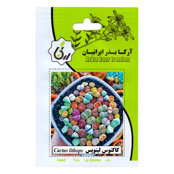 بذر کاکتوس لیتوپس آرکا بذر ایرانیان کد 123-ARK