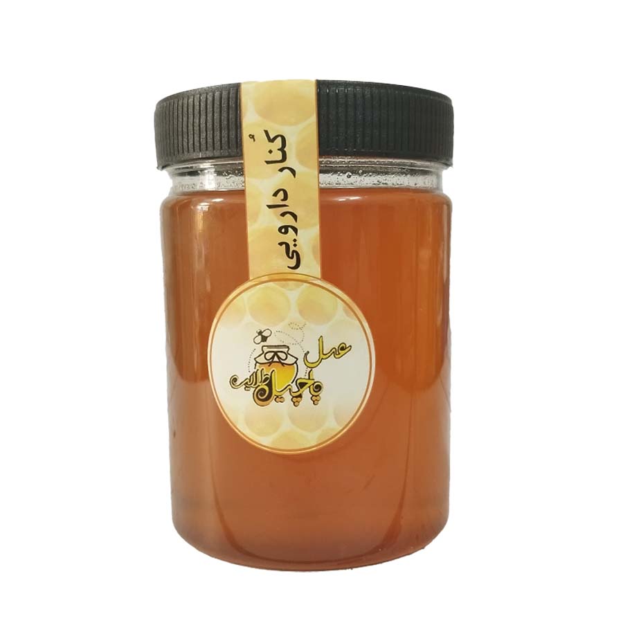 عسل کنار پاچیل طلایی - 1 کیلوگرم