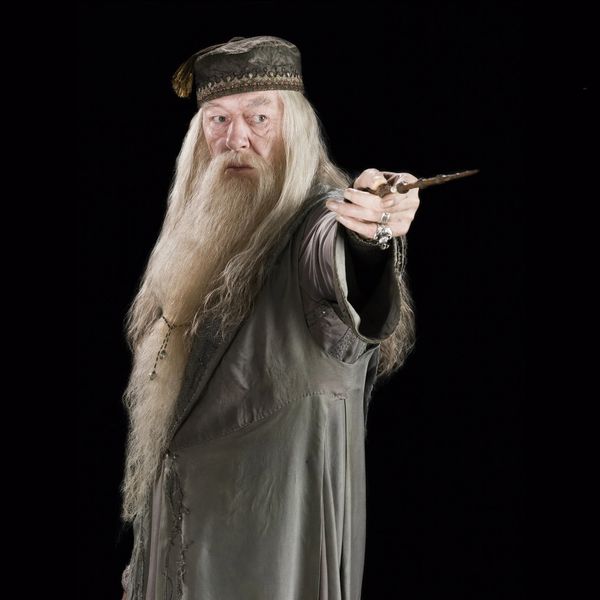 اسباب بازی زینتی مدل چوب دستی هری پاتر طرح Professor Albus Dumbledore 