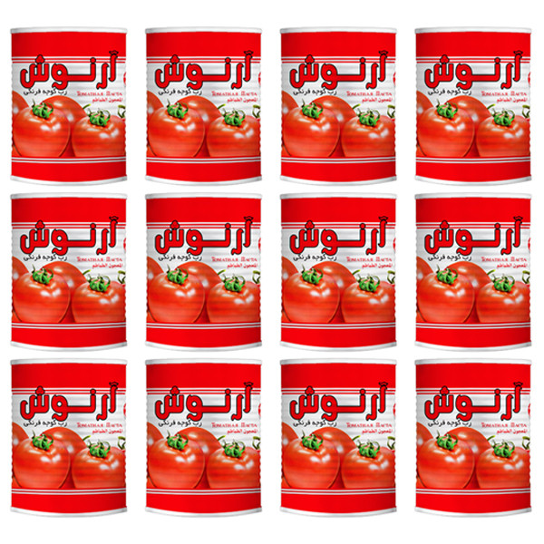 کنسرو رب گوجه فرنگی آرنوش - 800 گرم مجموعه 12 عددی
