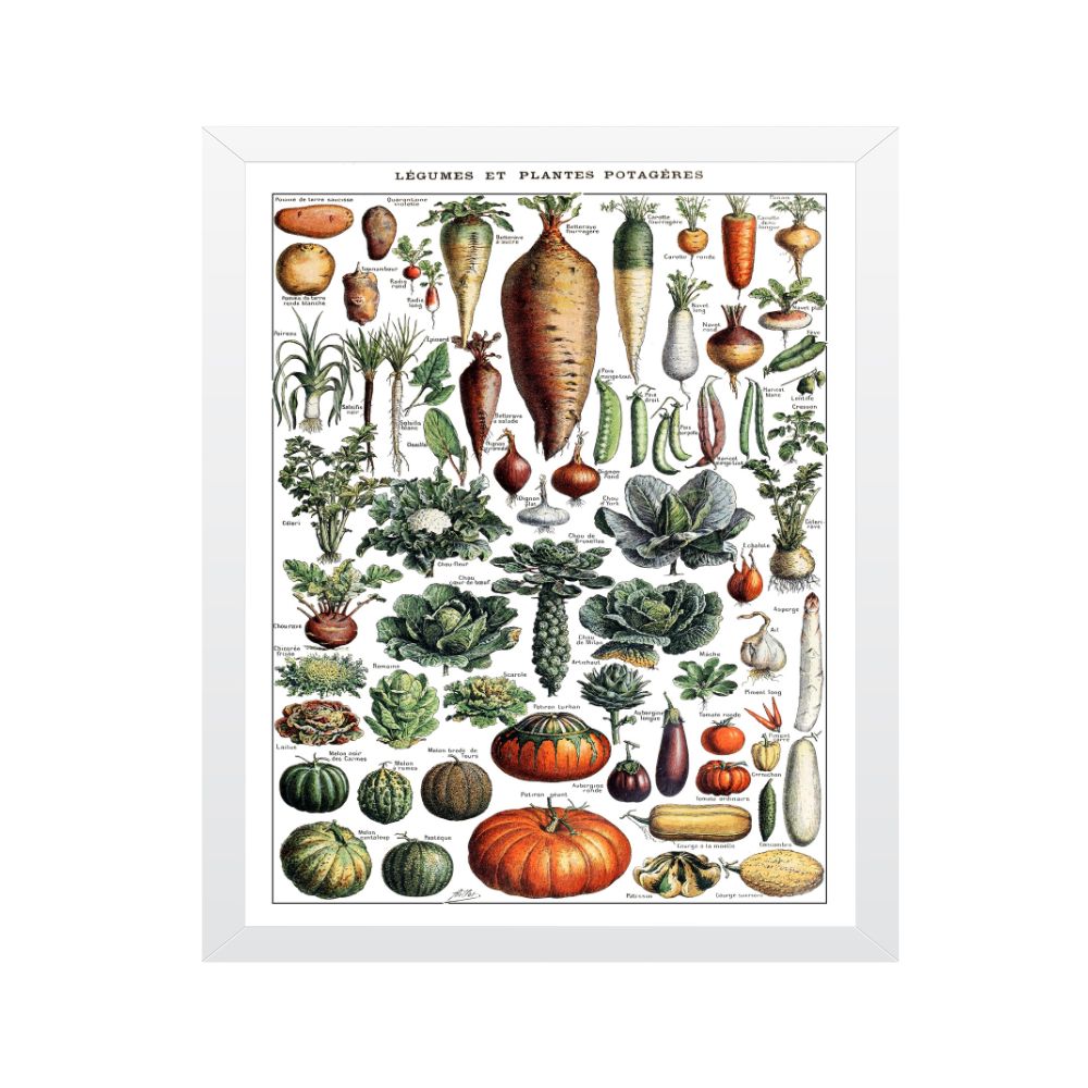تابلو مدل آدلف میلو سبزیجات 2