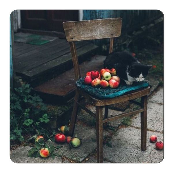 مگنت طرح گربه و صندلی چوبی و سیب کد wmg2815