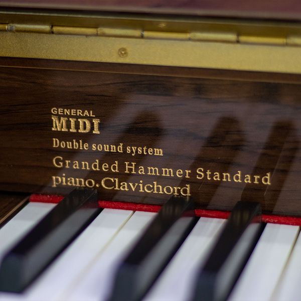 پیانو دیجیتال رولند مدل FP10 Plus