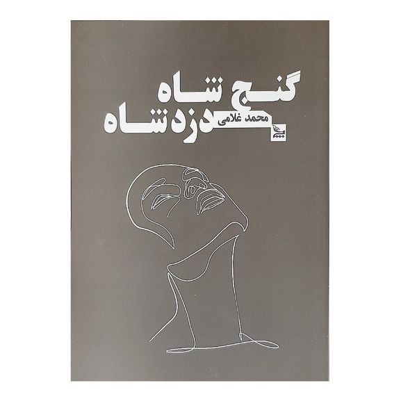 کتاب گنج شاه دزد شاه اثر محمد غلامی نشر چلچله