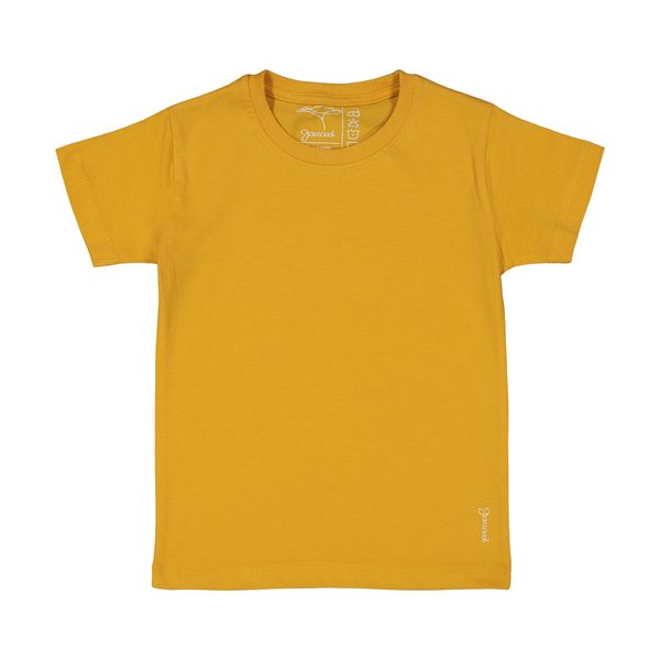 تی شرت پسرانه گارودی مدل 1410315106-13