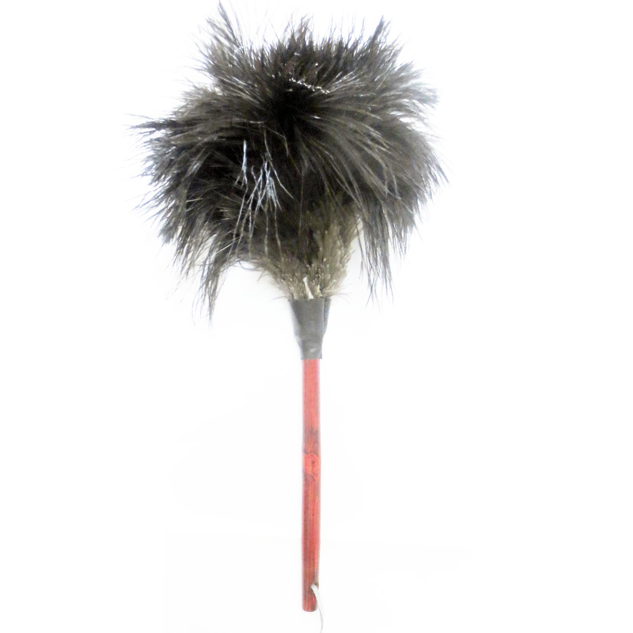 گردگیر آلین مدل Ostrich Feather 4