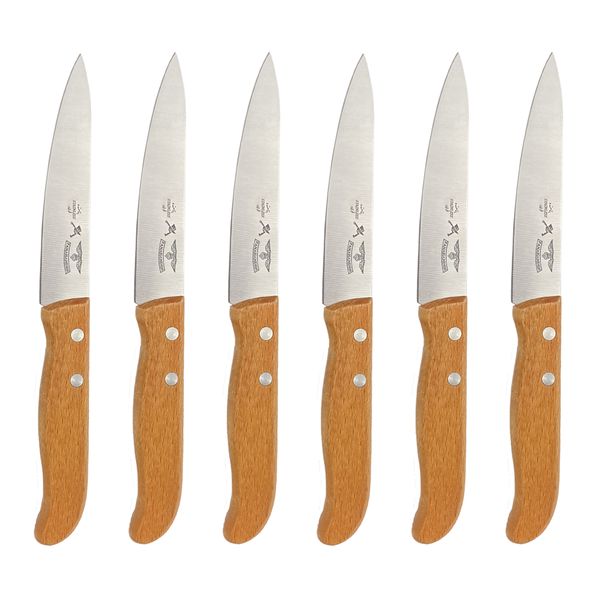 چاقوی آشپزخانه پناهنده مدل دم دستی طرح جدید سایز 4 مجموعه 6 عددی