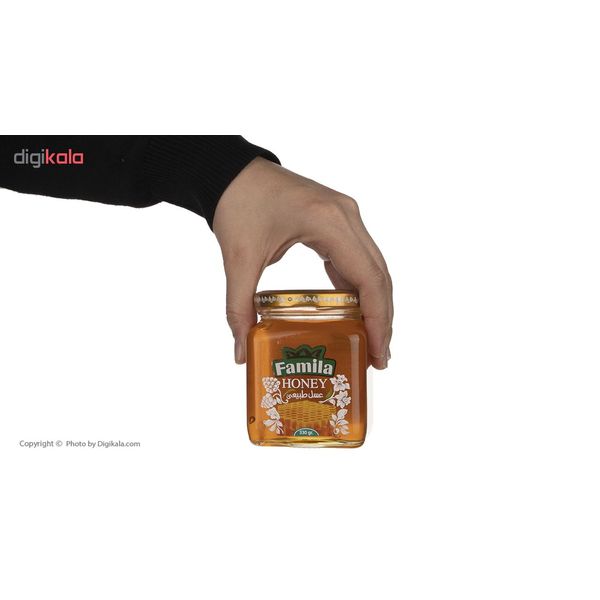 عسل طبیعی فامیلا - 330 گرم