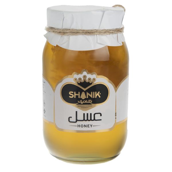 عسل با موم شانیک - 650 گرم
