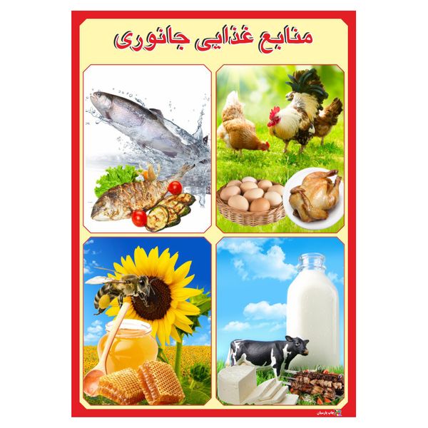 پوستر آموزشی چاپ پارسیان طرح منابع غذایی جانوری مدل 009