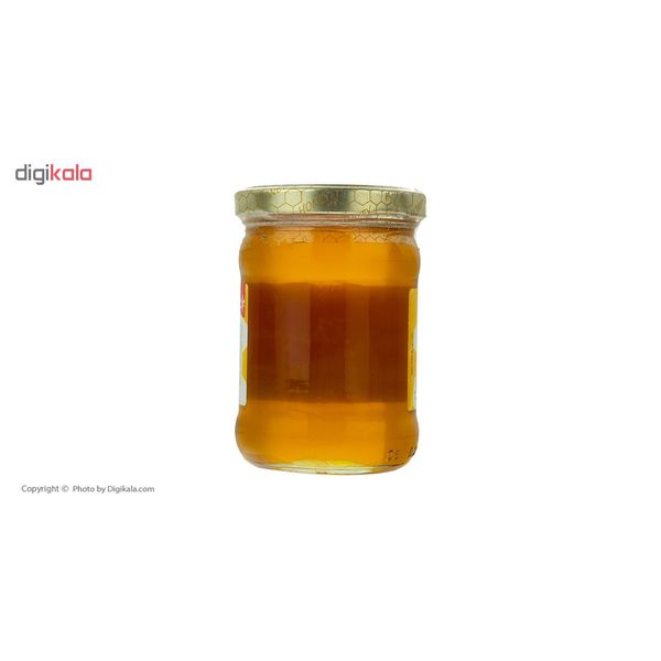 عسل بیژن - 300 گرم