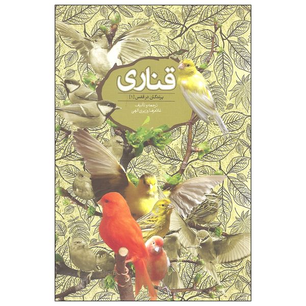 کتاب قناری پرندگان در قفس اثر غلامرضا وزیری الهی نشر روزبهان