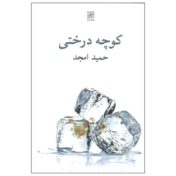 کتاب کوچه درختی اثر حمید امجد انتشارات نیلا