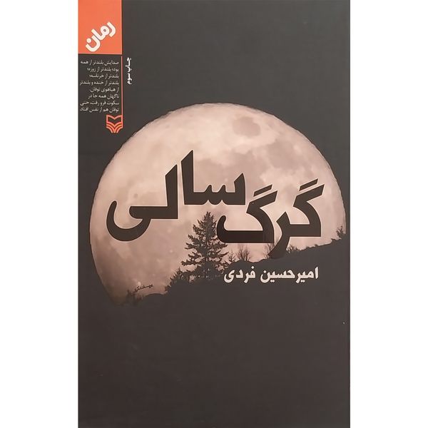 کتاب گرگ سالی اثر اميرحسين فردی انتشارات سوره مهر