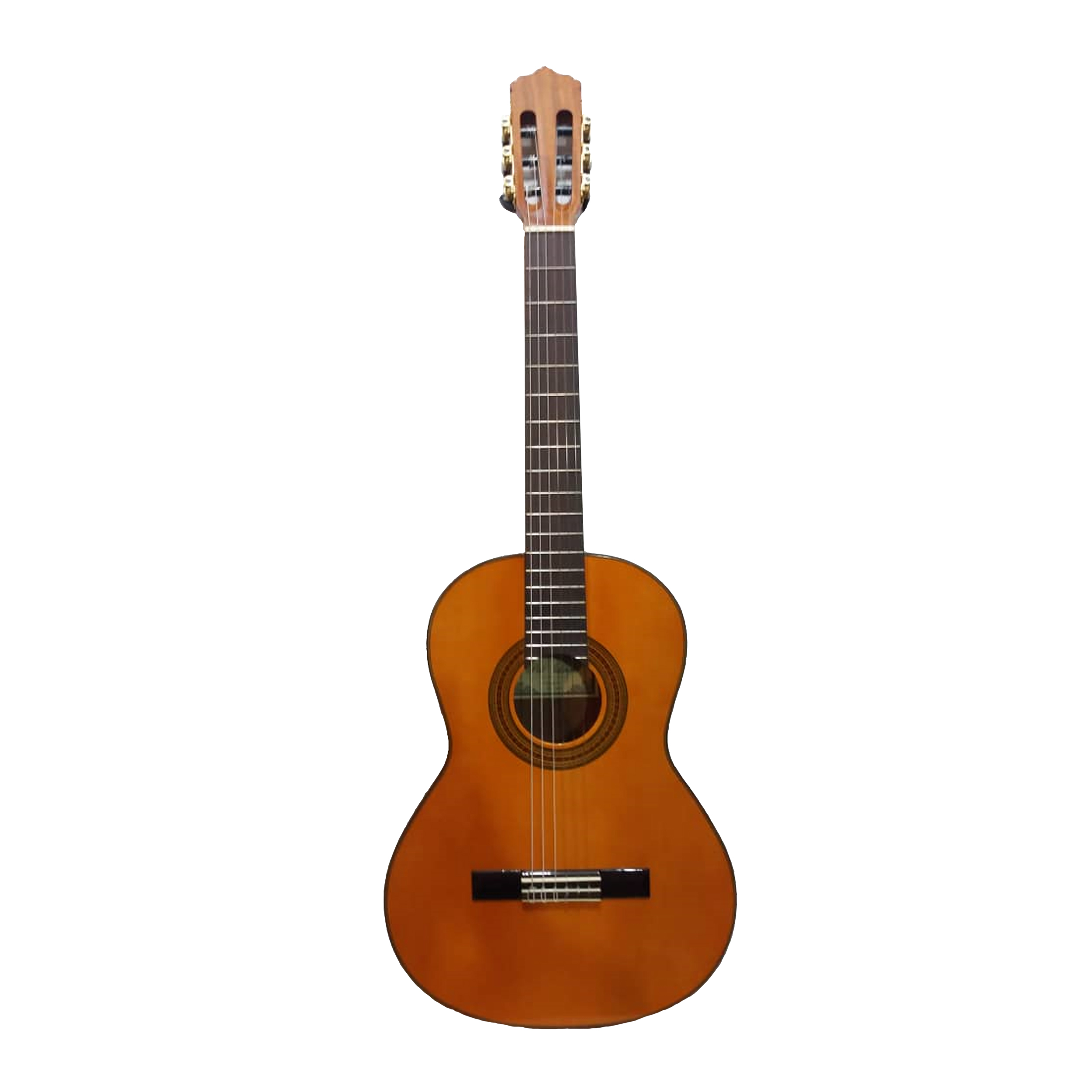 گیتار کلاسیک پالادو مدل CG 80-3/4