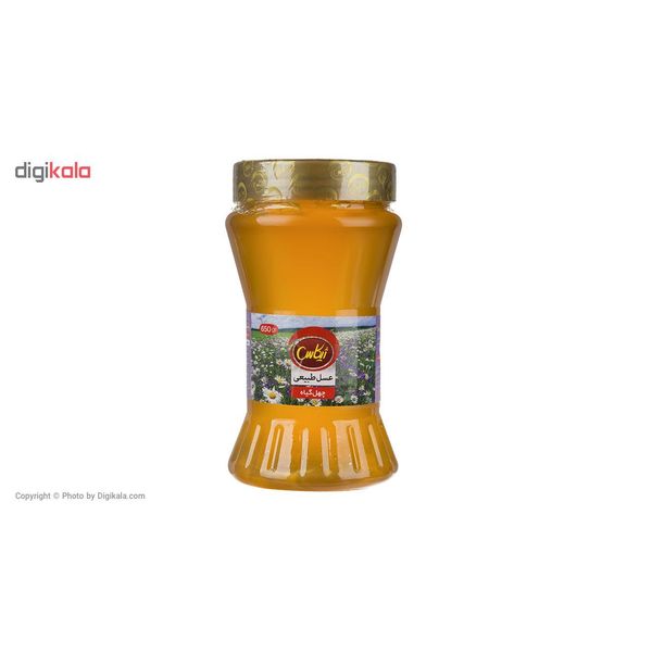 عسل طبیعی چهل گیاه ژیکاس - 650 گرم