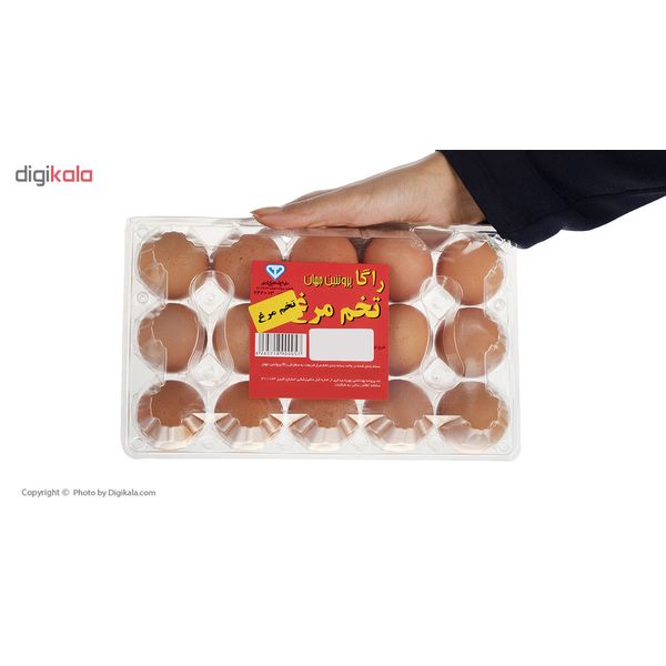 تخم مرغ راگا پروتئین جهان بسته 15 عددی