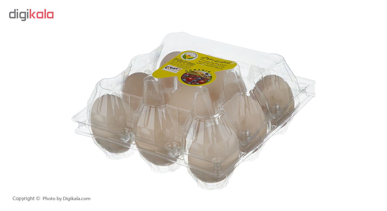 تخم مرغ ارگانیک رضوانی - بسته 9 عددی
