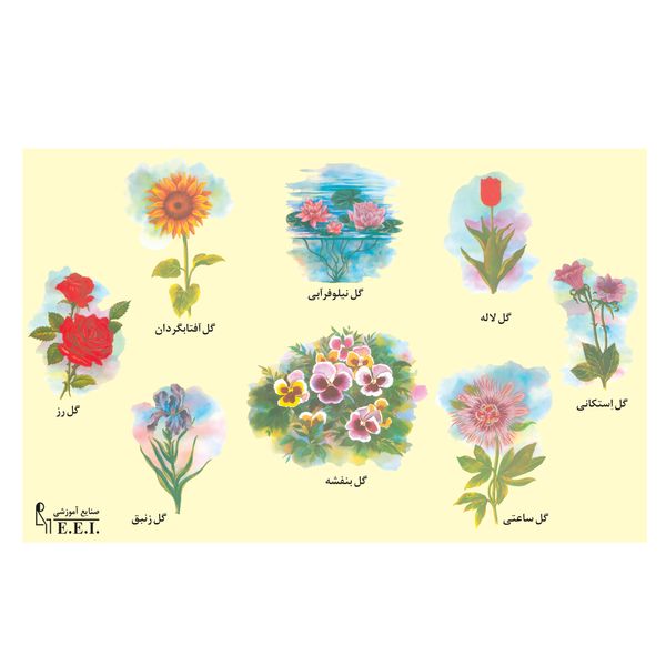 پوستر آموزشی صنایع آموزشی طرح گل در گیاهان مختلف کد065