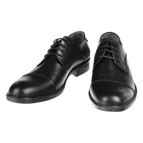 کفش مردانه دلفارد مدل 7219c503-101
