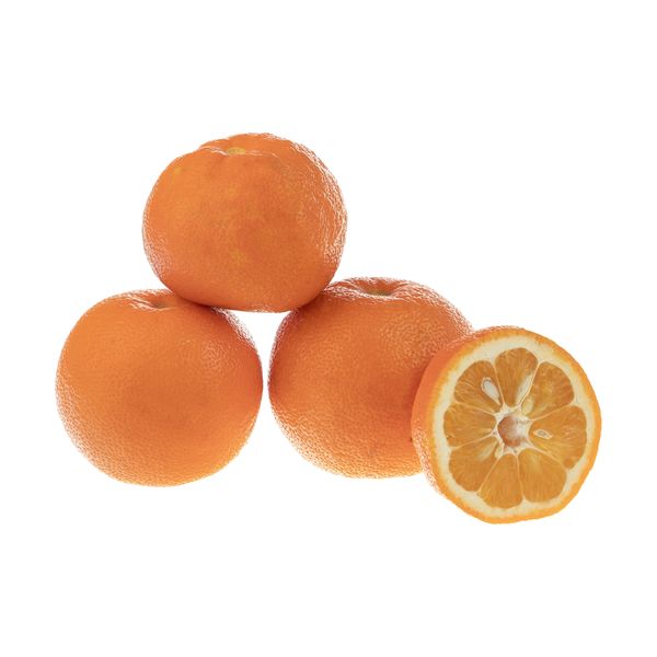 نارنج بلوط - 1 کیلوگرم 