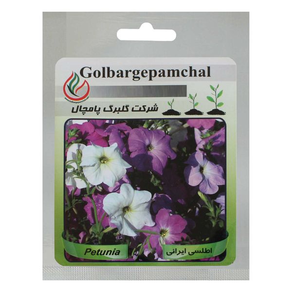 بذر گل اطلسی ایرانی گلبرگ پامچال کد GPF-018