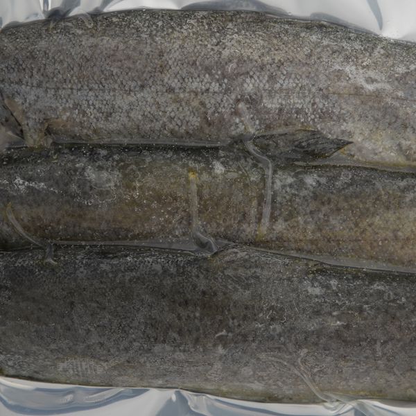 ماهی قزل آلا شکم خالی منجمد بیستون صید - 1 کیلوگرم