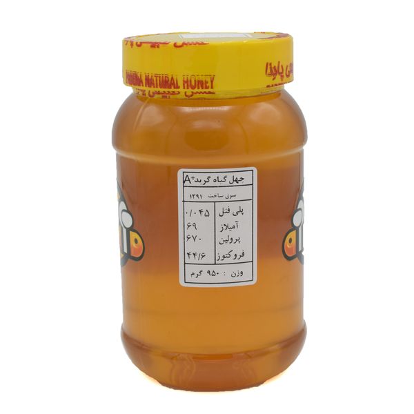عسل چهل گیاه ممتاز پادنا - 950 گرم