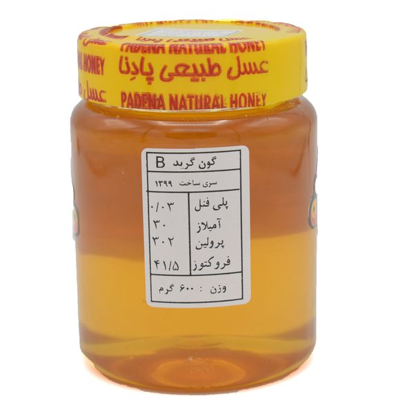 عسل گون پادنا - 600 گرم