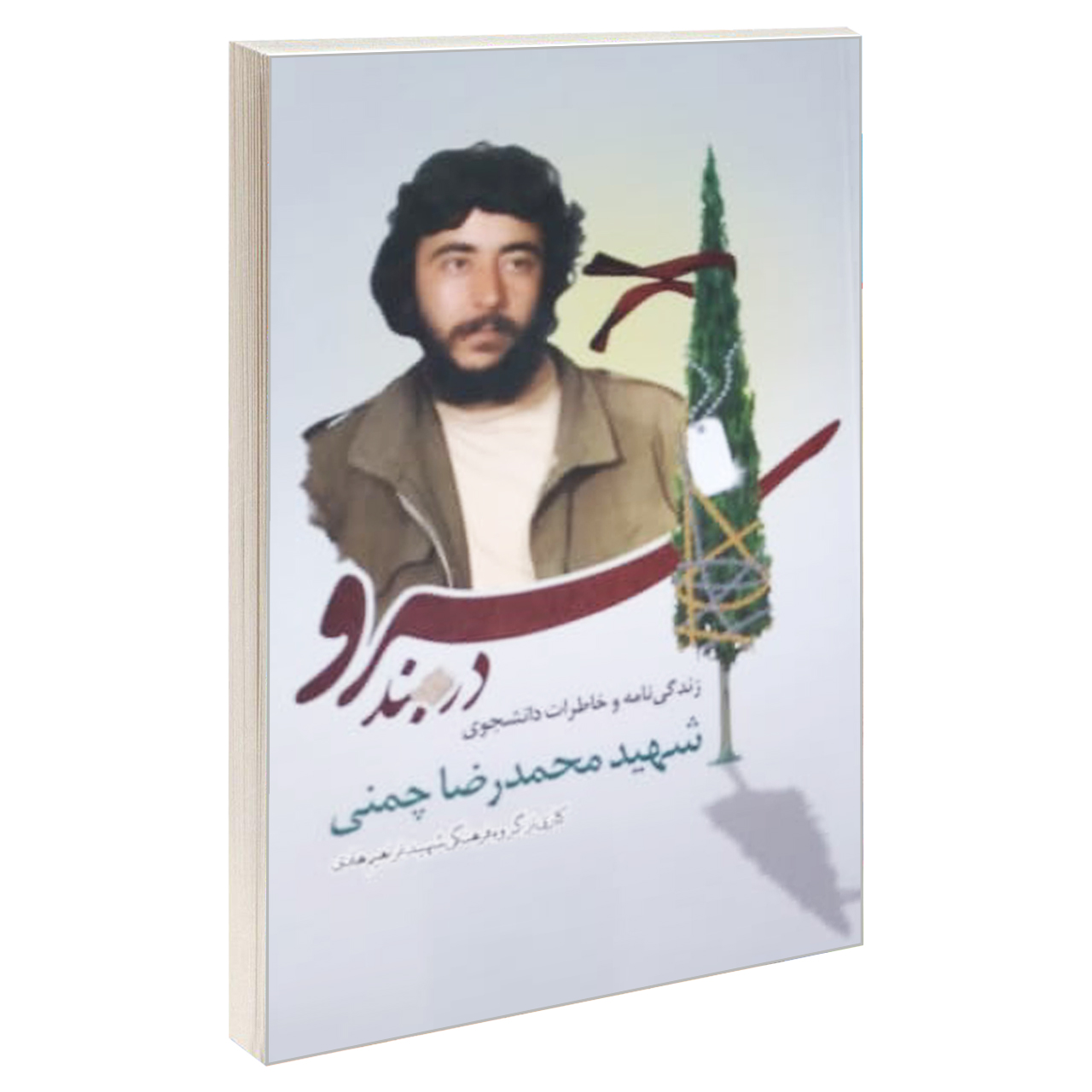 کتاب سرو در بند اثر جمعی از نویسندگان انتشارات شهید ابراهیم هادی
