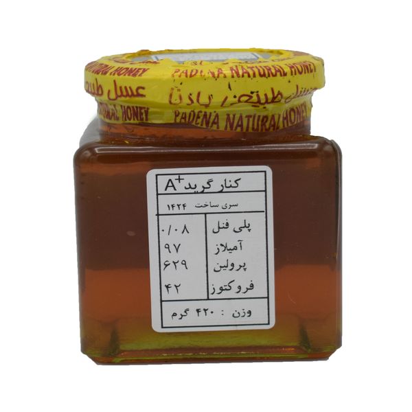 عسل کنار پادنا - 420 گرم