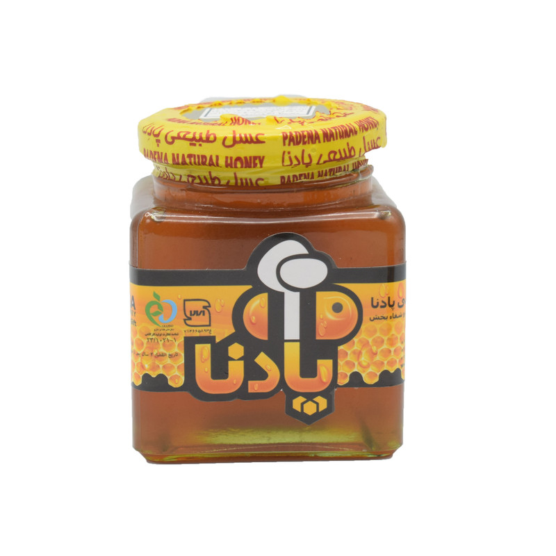 عسل سیاه دانه پادنا - 420 گرم