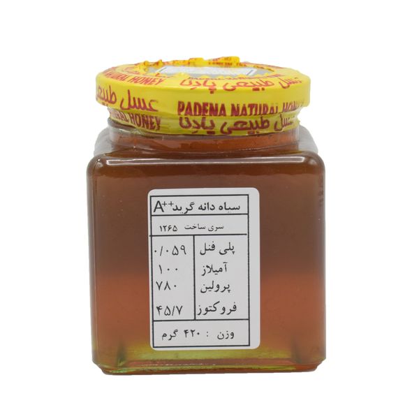 عسل سیاه دانه پادنا - 420 گرم
