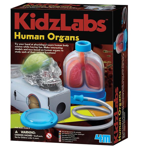 بازی آموزشی 4ام مدل Human Organs
