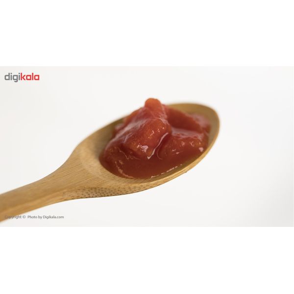 کنسرو گوجه فرنگی خرد شده روژین مقدار 380 گرم