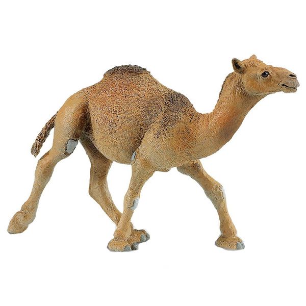 عروسک سافاری مدل Dromedary Camel سایز کوچک